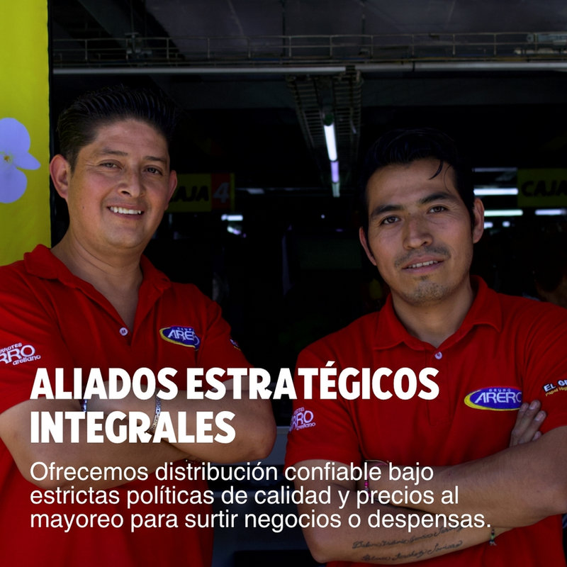 Aliados estratégicos integrales: distribución confiable bajo estrictas políticas de calidad y precios al mayoreo para surtir negocios o despensas