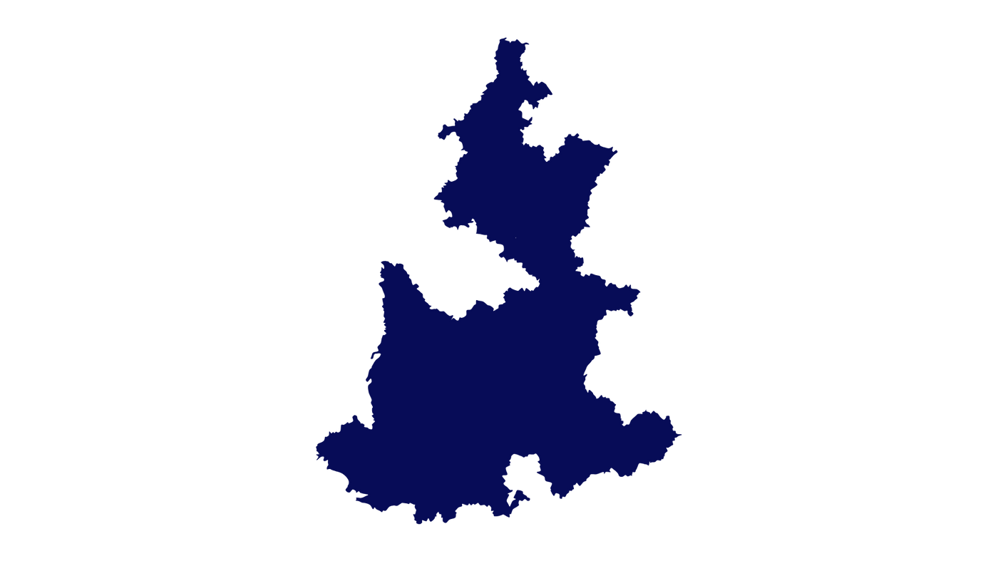 Silueta del estado de Puebla